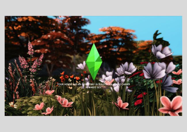  Rustic Flowers Loading Screen cc Set 